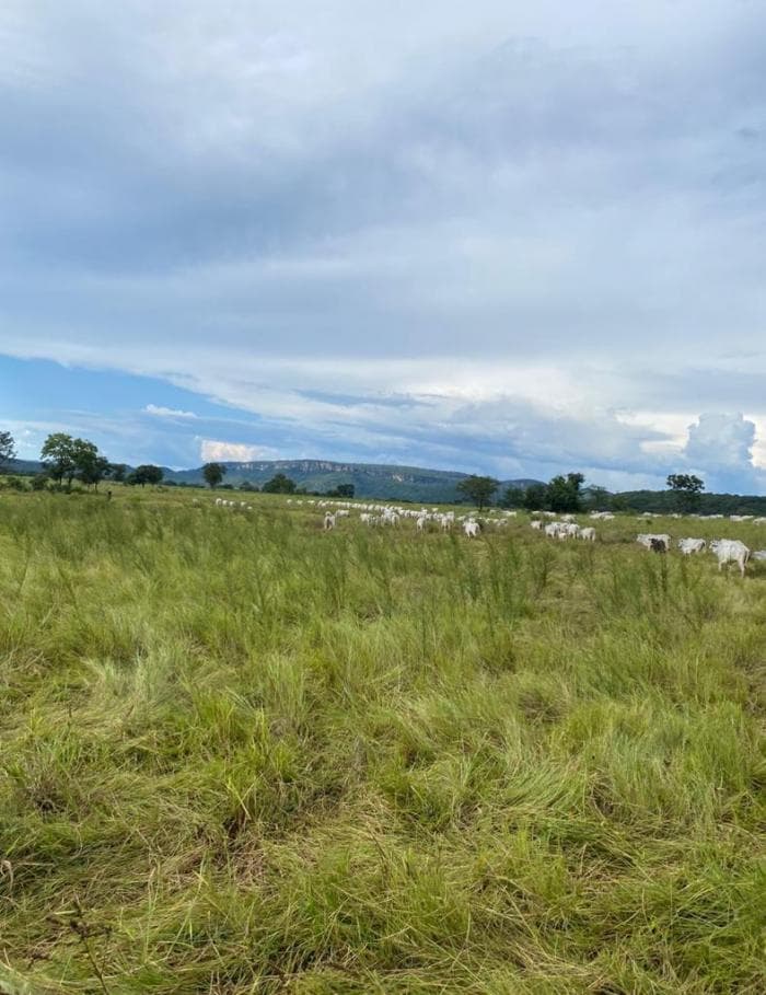 Fazenda em Cuiabá 13