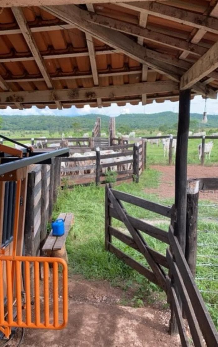 Fazenda em Cuiabá 20